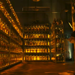 Teetotaling on the Law? Not Hardly: The Bible, Binge Drinking, and You