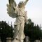 O Lost: Wolfe’s Angel and The Buried Life