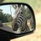 Objects in the Rear View Mirror Are Closer Than They Appear
