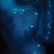 Welcome to the 3-D Jungle (of Pandora) – James Cameron’s Avatar