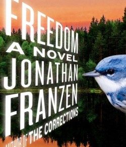 Another Week Ends: Franzen’s Freedom, Strippers at Church, Hairdryers, Gender Jokes, Sufjan and Arcade Fire