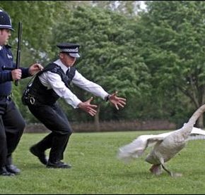 What’s Goin’ On in the ‘Burbs? Hot Fuzz!