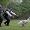 What’s Goin’ On in the ‘Burbs? Hot Fuzz!