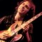 Steely Dan and the Heart