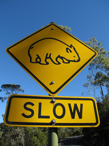 Is this sign for real?