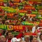 Boring Addicts and Portugese Drug Law