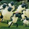 Lost Sheep, Justifying Touchstones and Airline Supersavers