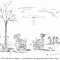 From The New Yorker