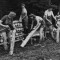 A Lenten Poem from Wendell Berry