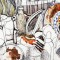 Jonathan Haidt Is a Chronic Liar? Dirty Dishes, Intuitive Excuses and Self-Justification