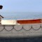 Mockingbird at the Movies: Reflections on Life of Pi